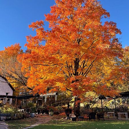 Domaine Jolivent Otel Lac-Brome Dış mekan fotoğraf
